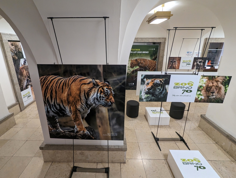 Zoo Brno slaví svých 70 let výstavou v Urban centru