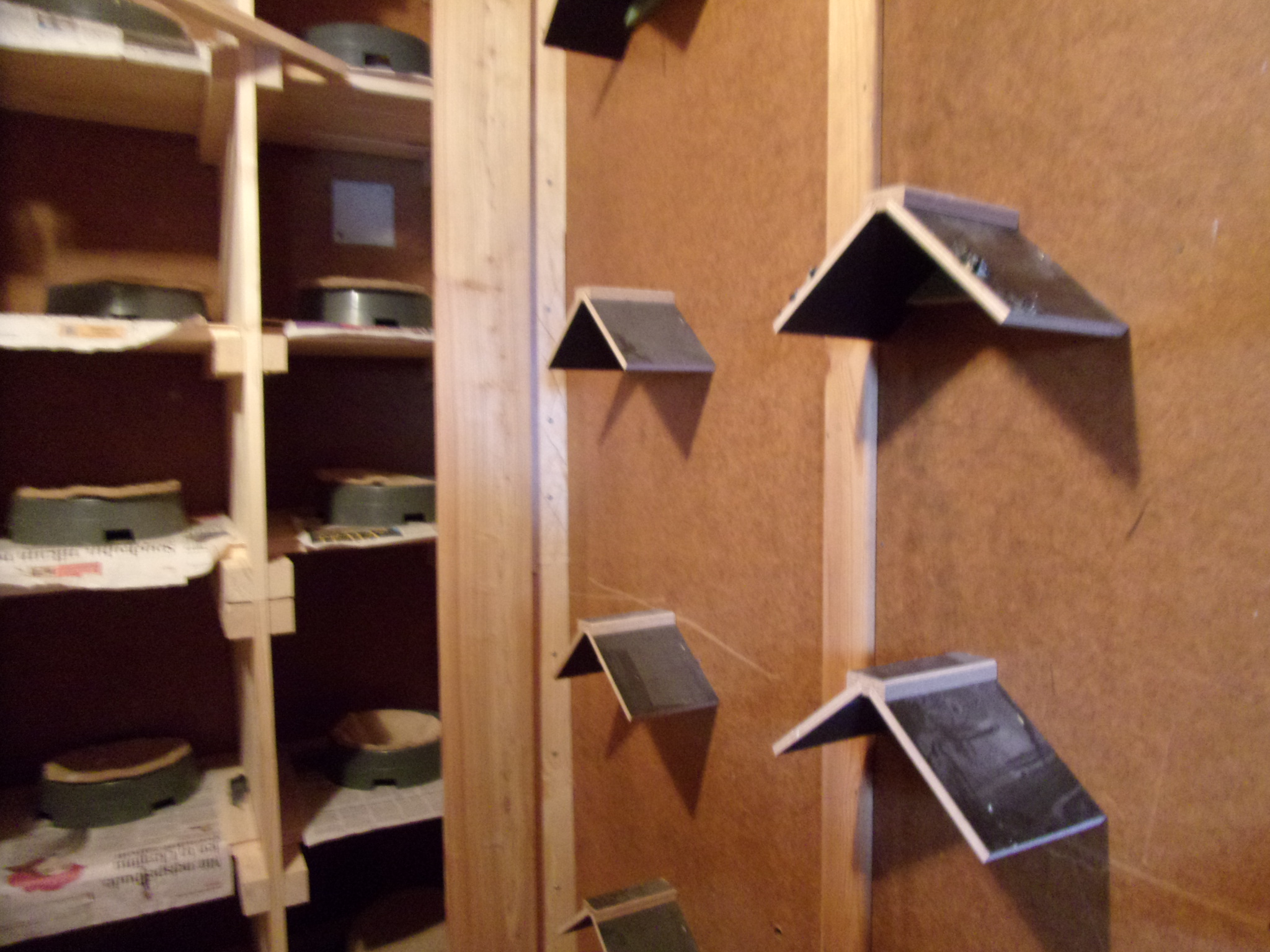 Městské holubníky tlumí ptačí populaci