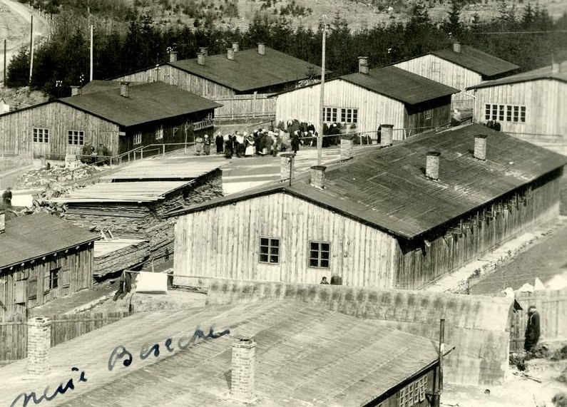 Rasová segregace a genocida se už nesmí opakovat