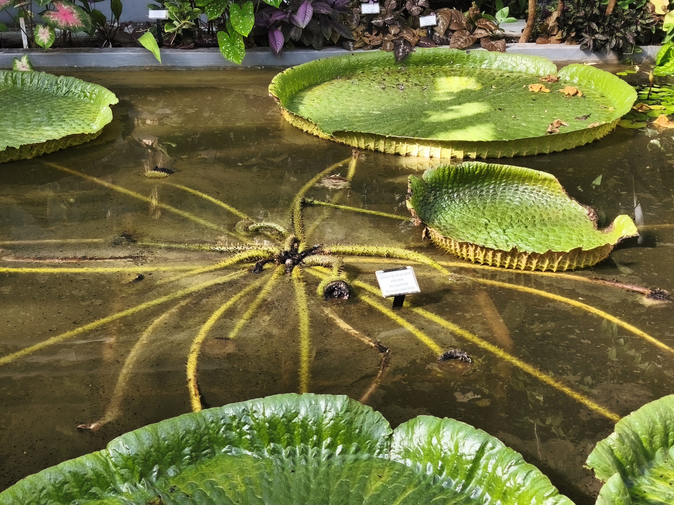 Navštívili jsme botanickou zahradu